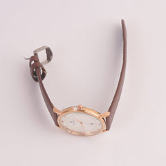 Men Casual Watch Brown Golden Dial