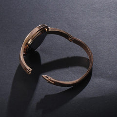 Women Kara Wrist Watch CK Rosegold B
