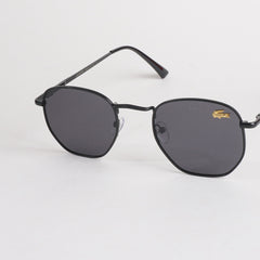 Black Frame Sunglasses with Black Shade