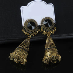 Womens Fancy Earring G-BL