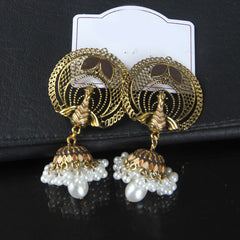 Womens Fancy Earring G-B