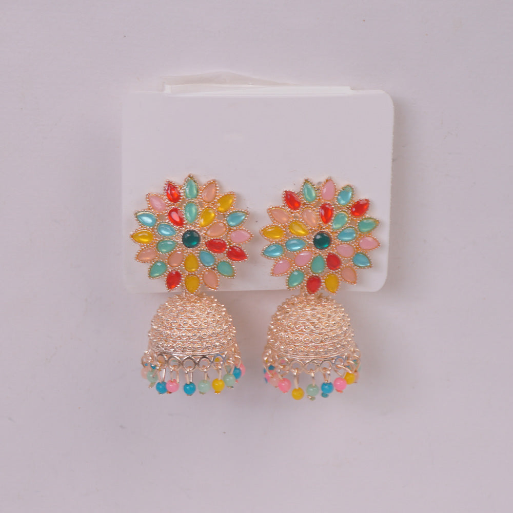 Woman's Traditional Earring Multi Color